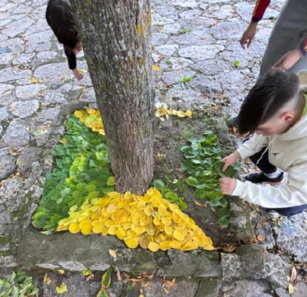 'Land Art' en el instituto Hervás y Panduro