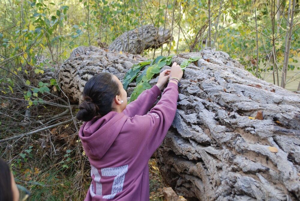 'Land Art' en el instituto Hervás y Panduro