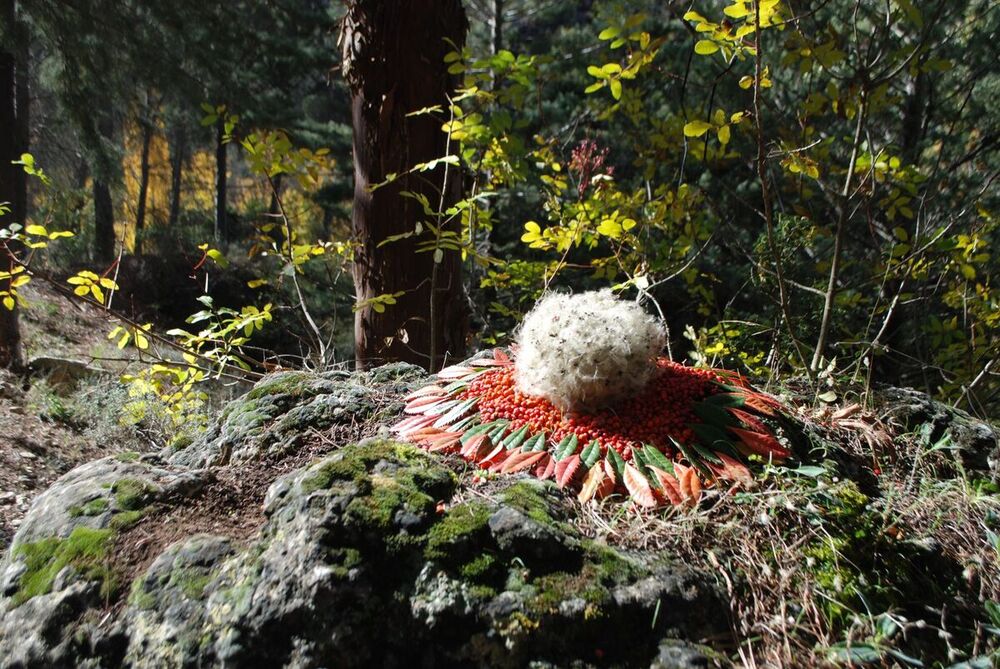 'Land Art' en el instituto Hervás y Panduro