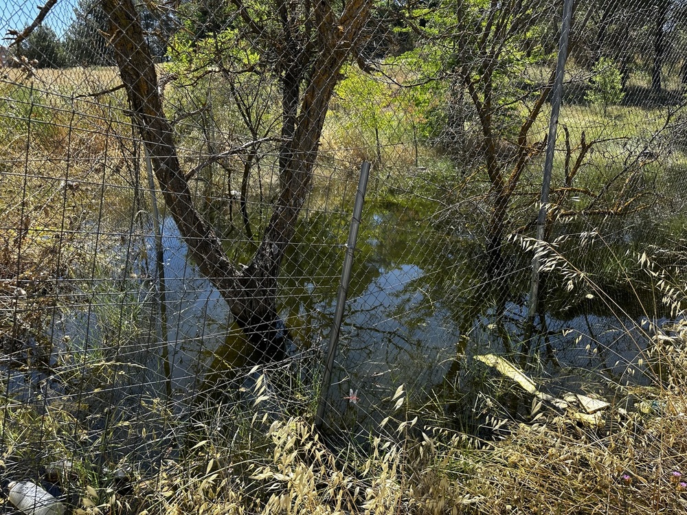 El manantial ha formado junto a una de las vías principales del barrio una especie de estanque de unos cuatro o cinco metros de longitud.