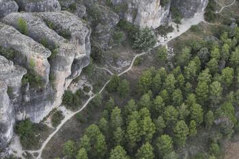 Rewilding Spain ayudará a ayuntamientos a aprovechar montes