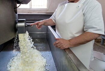 La siniestralidad laboral deja cada semana 63 accidentes