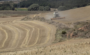 Asaja no consentirá limitaciones agrarias para evitar fuegos