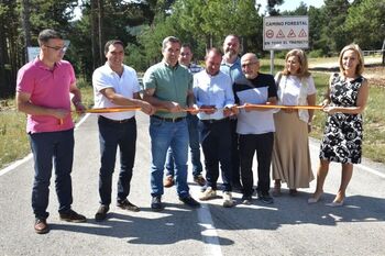La Diputación mejora un camino forestal en la Serranía
