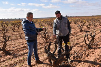 La Junta apoya a cerca de 800 jóvenes agricultores conquenses