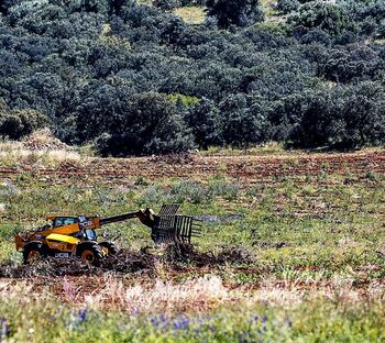 Autorizada la plantación de 417 hectáreas de viñedo en CLM