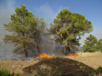 El incendio de Valverdejo afecta a 1.500 hectáreas