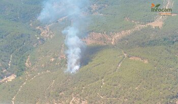 Controlado el incendio declarado en Enguídanos