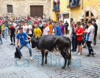 Los 'quites' de la vaquilla