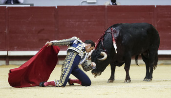 Toreros para la mayoría