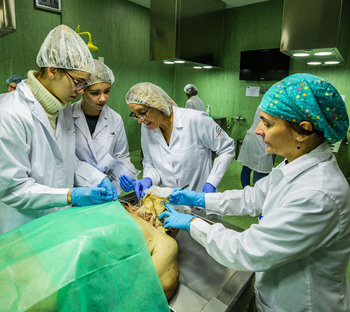 La UCLM mantendrá el aumento de alumnos de Medicina este curso