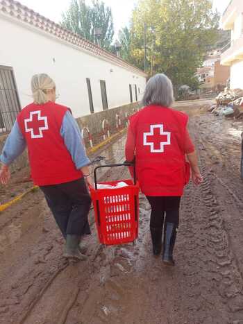 Cruz Roja contacta con las personas que atiende en Mira