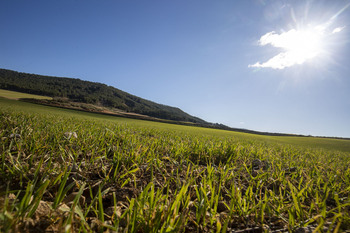 Abierto el plazo para solicitar la PAC en Castilla-La Mancha