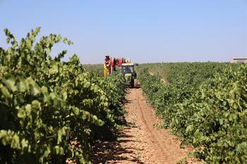 Asaja exige el cumplimiento de la Ley de cadena alimentaria