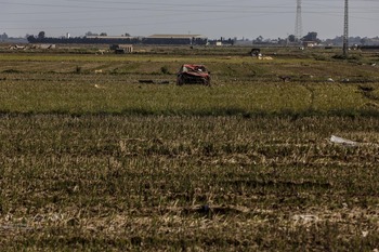 Abierto el plazo de ayudas por la DANA a explotaciones agro