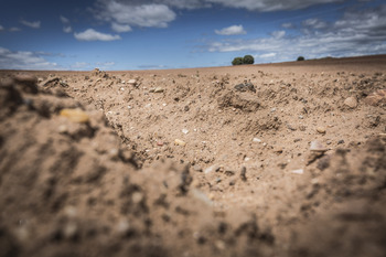 El año que la ciudad miró al campo