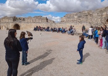 El Parque Arqueológico de Segóbriga supera las 58.000 visitas