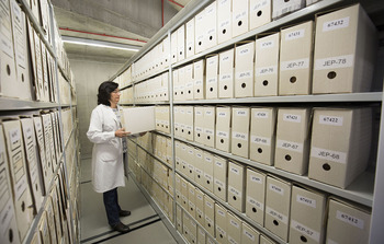 Ellos controlan los archivos y ellas dirigen las bibliotecas