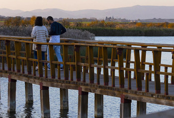 Los pozos llenan Las Tablas de «explosión de vida»