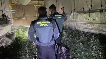 La Guardia Civil desmantela una plantación de marihuana