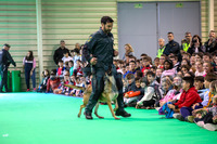 EXHIBICIÓN DE LA GUARDIA CIVIL ANTE E...